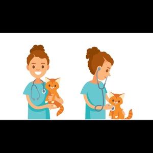 Meet your Posher, Frankie